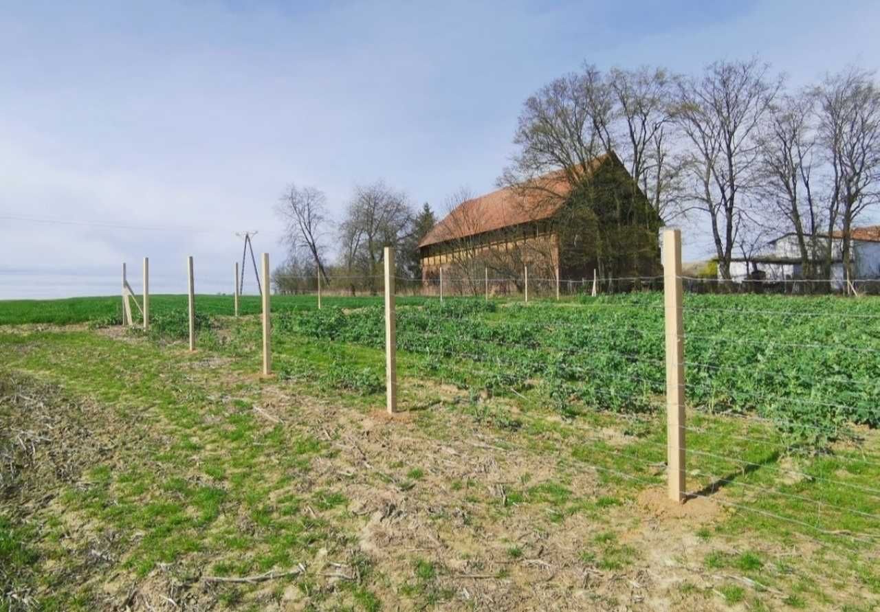 Ogrodzenia tymczasowe budowlane betonowe Płot siatka leśna