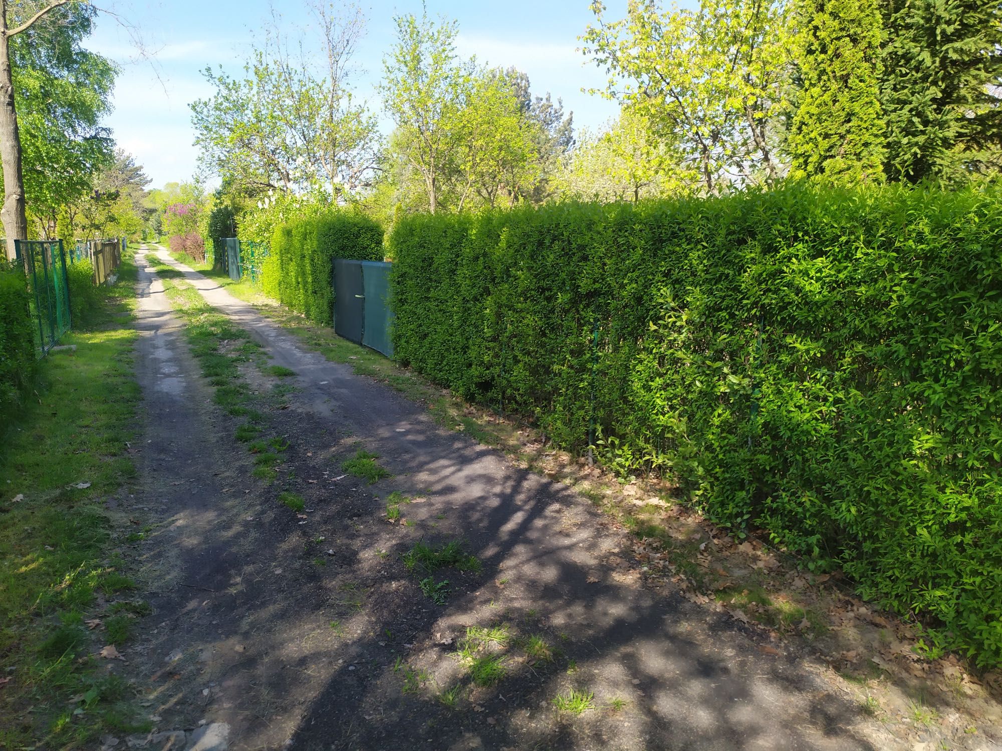 Fajna działka ROD w Radomiu Pod Skarpą