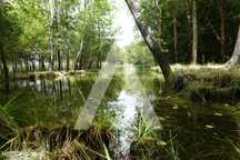 Terreno agrícola situado na zona de Horta em Eixo, Aveiro