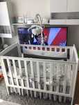 Łóżeczko royal baby room