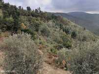 Terreno  para venda