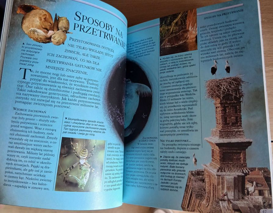 Encyklopedia przyrody.