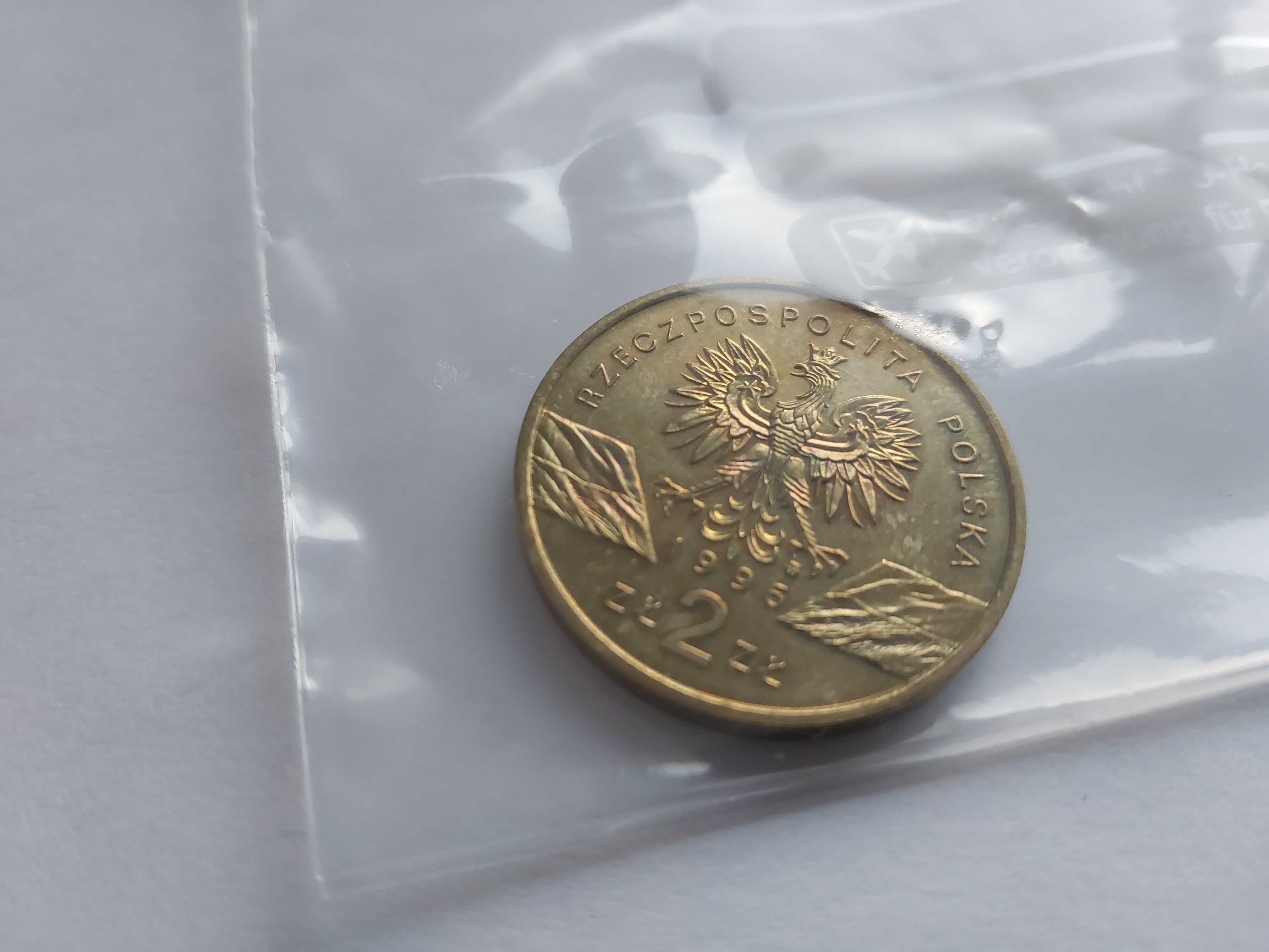 moneta 2zł Jeż Erinaceus Europaeus z obiegu rok 1996