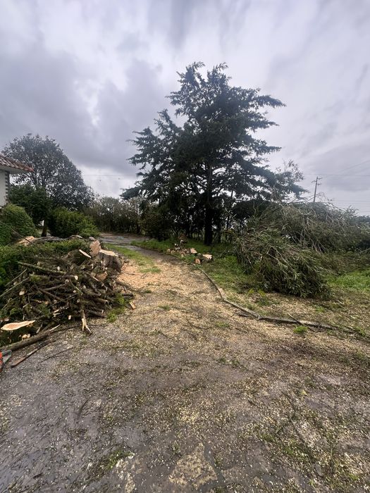 Limpeza terrenos, corte arvores, jardinagem ,trabalhos de maquina