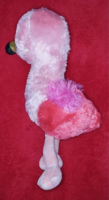 Mis flaming szuka domu