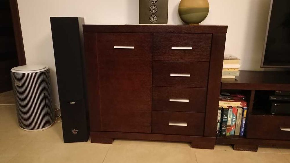 meble do salonu kolor wenge, fornir