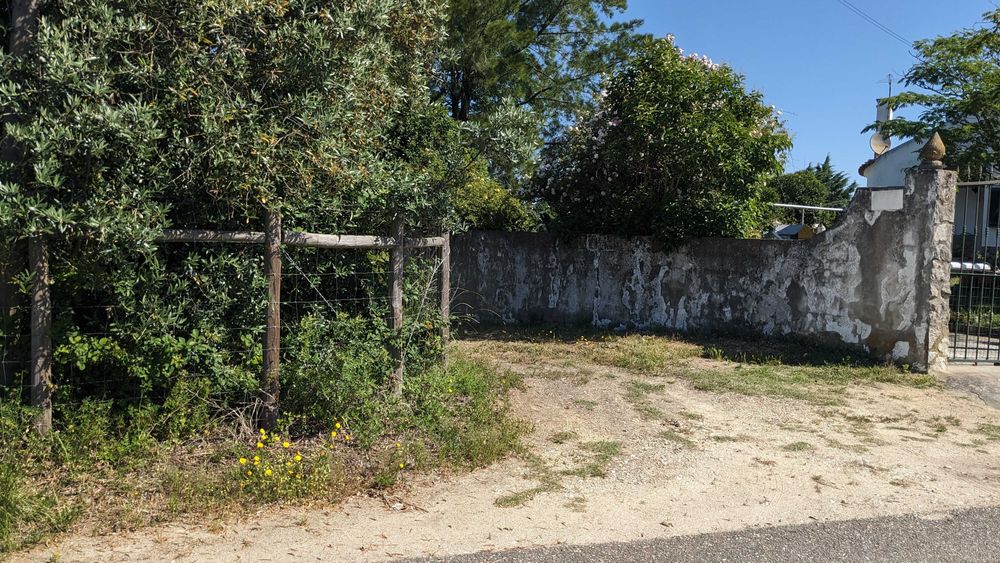 Terreno agrícola em Romeira, Santarém – 2,1 hectares
