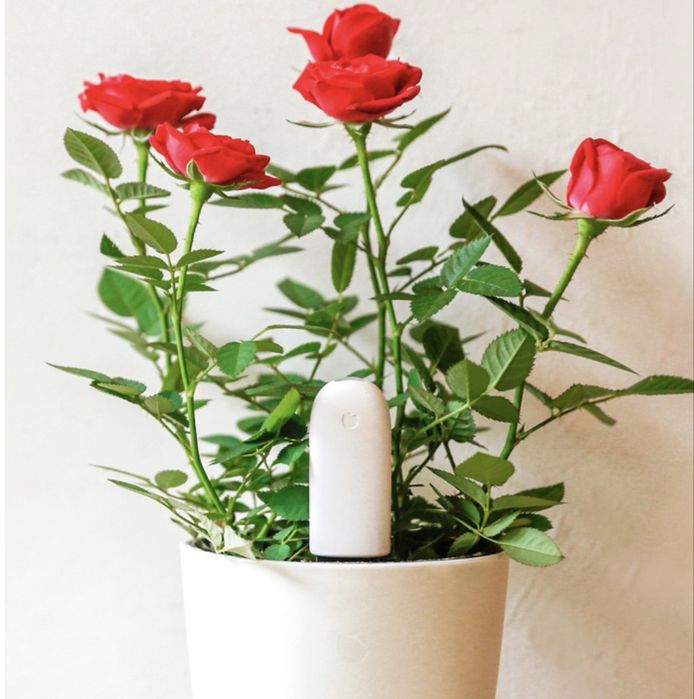 Анализатор почвы с приложением Flora Flower & Grass Monitor