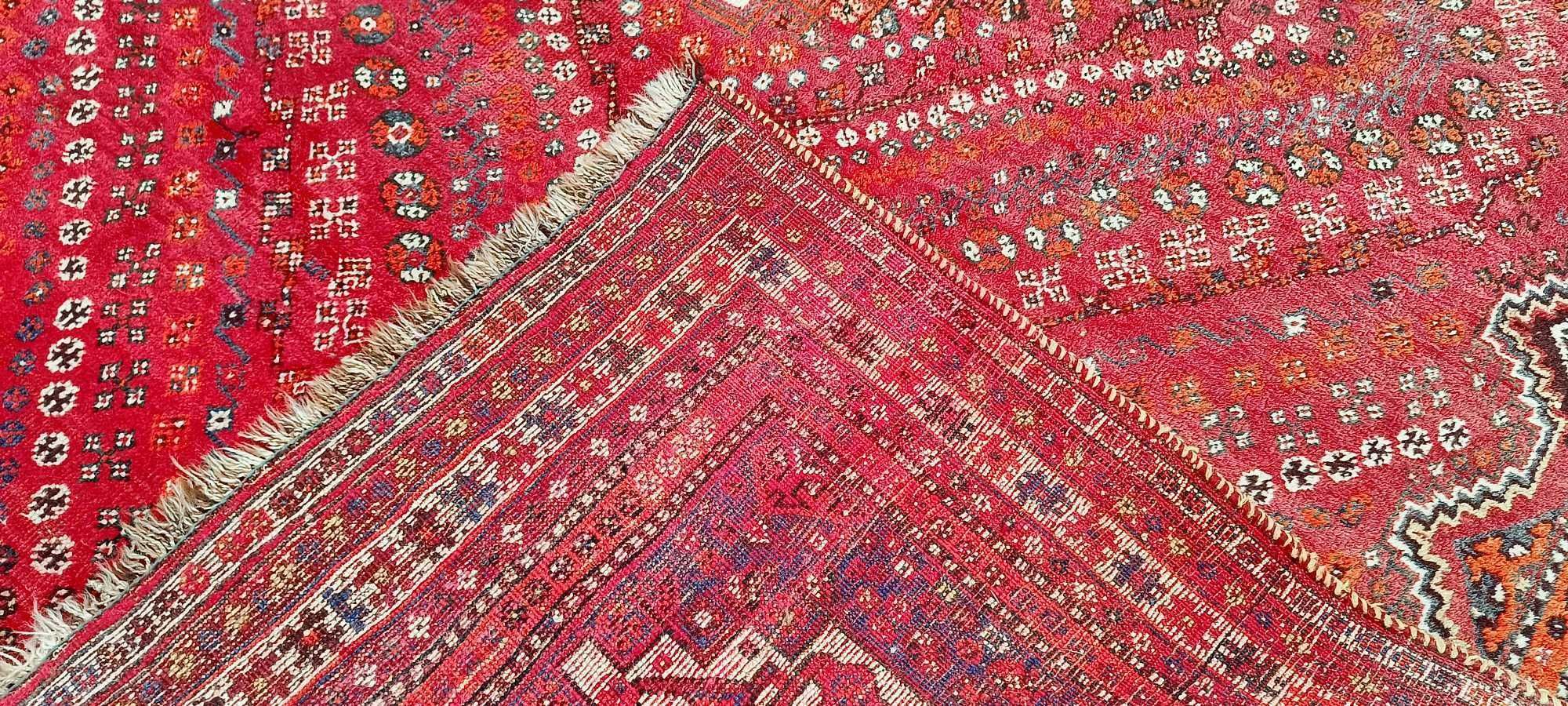 Shiraz dywan wełniany perski Iran tkany ręcznie 313 x 215 cm wełna