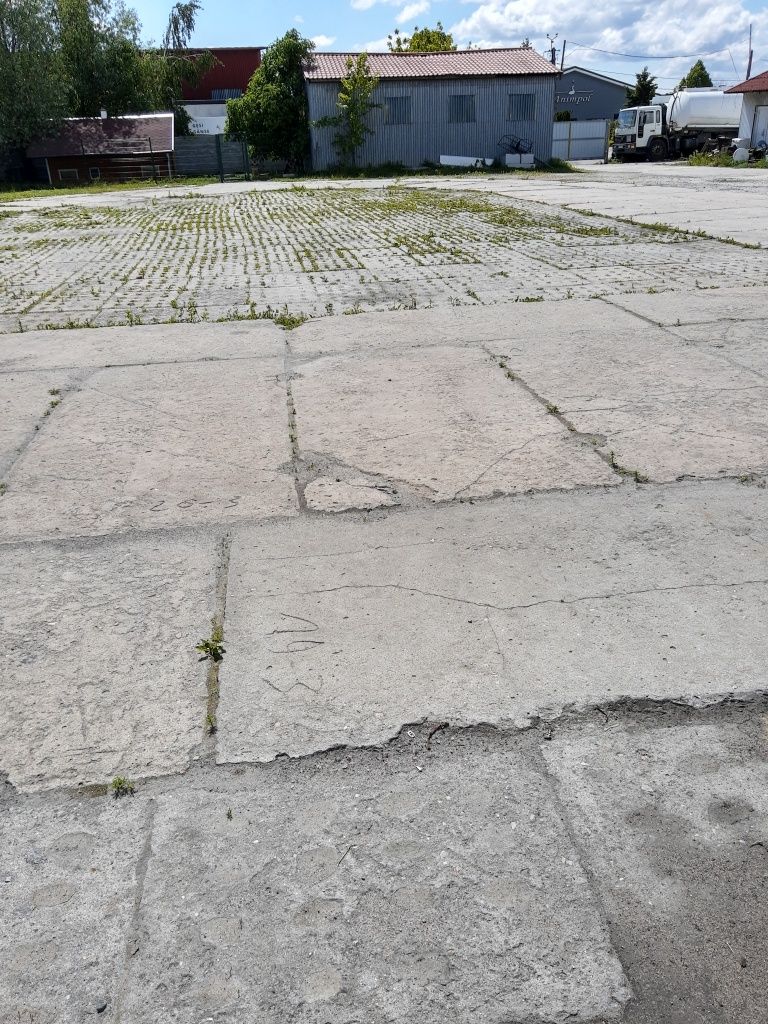 Utwardzony plac do wynajęcia