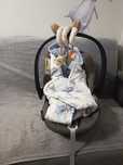 Fotelik do auta Cybex cloud z i size