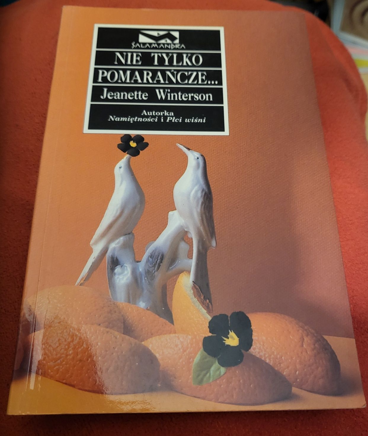 Jeanette  Winterson, Nie tylko pomarańcze.