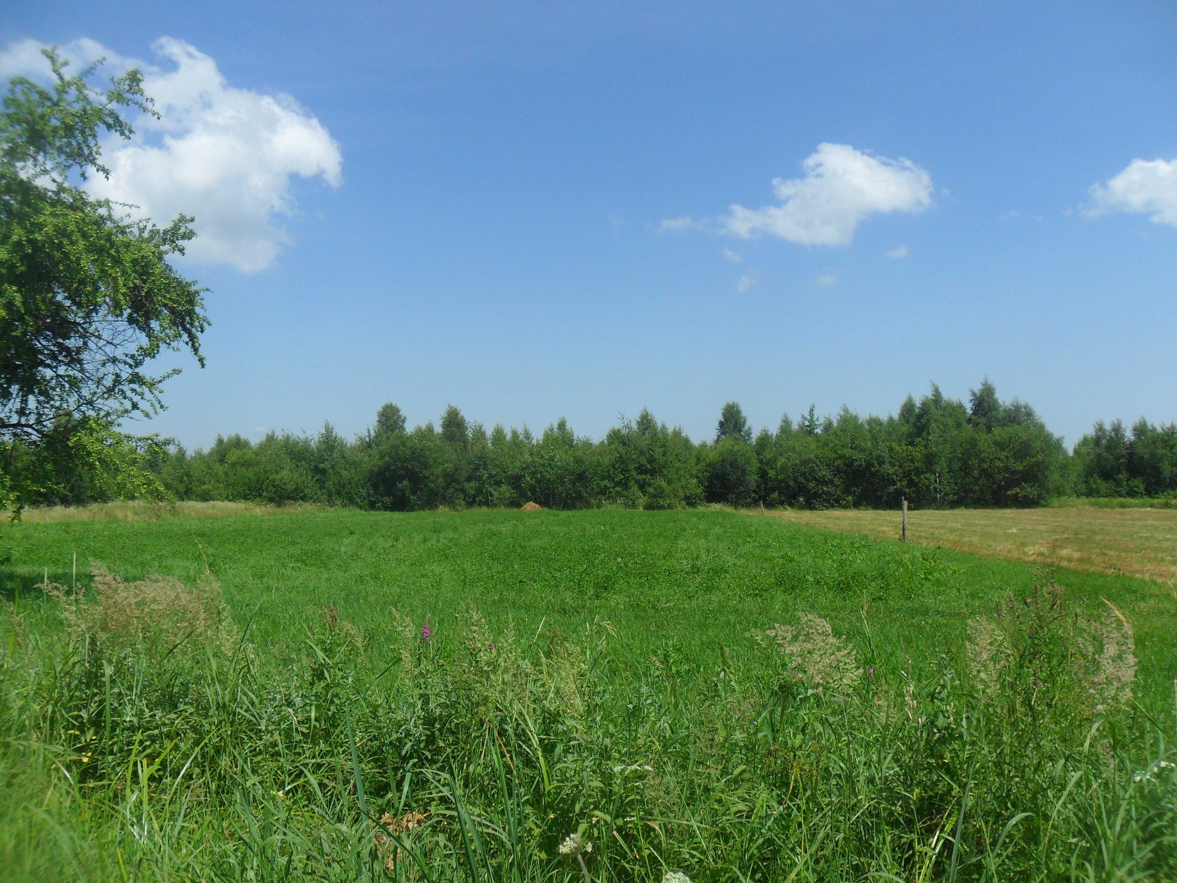 продам земельну ділянку