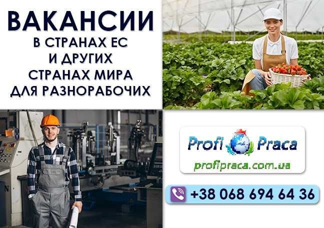 Рабочие визы, ВНЖ, ПМЖ, легализация и гражданство в странах Европы!