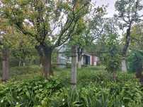 Дача в Фастові село Триліси