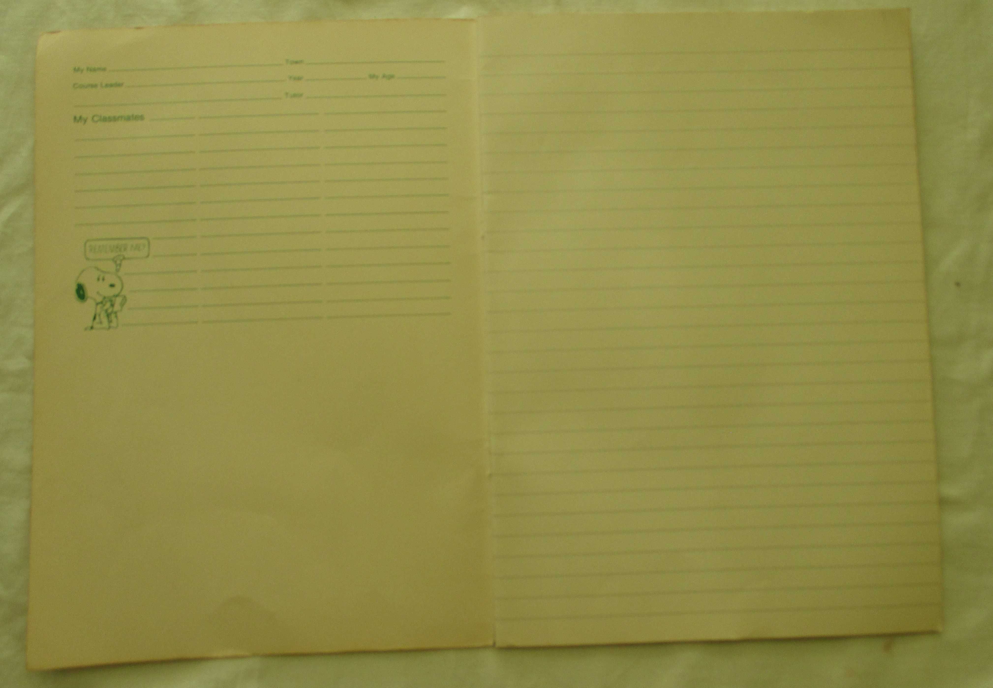 Caderno Inglês A4 Pautado