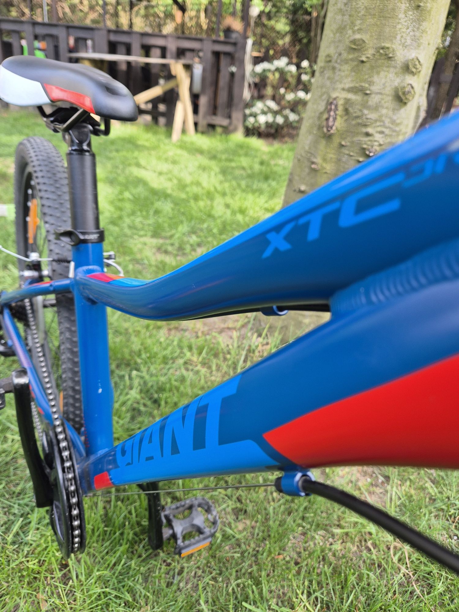 Rowery Giant  XTC Jr 24