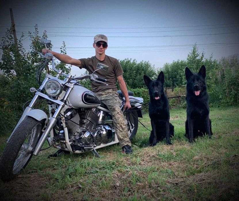 ДрагСтар/драга/чесотка/ямаха/DragStar400