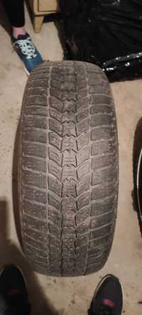 Opony Sava W+S 205/60 r16 96h