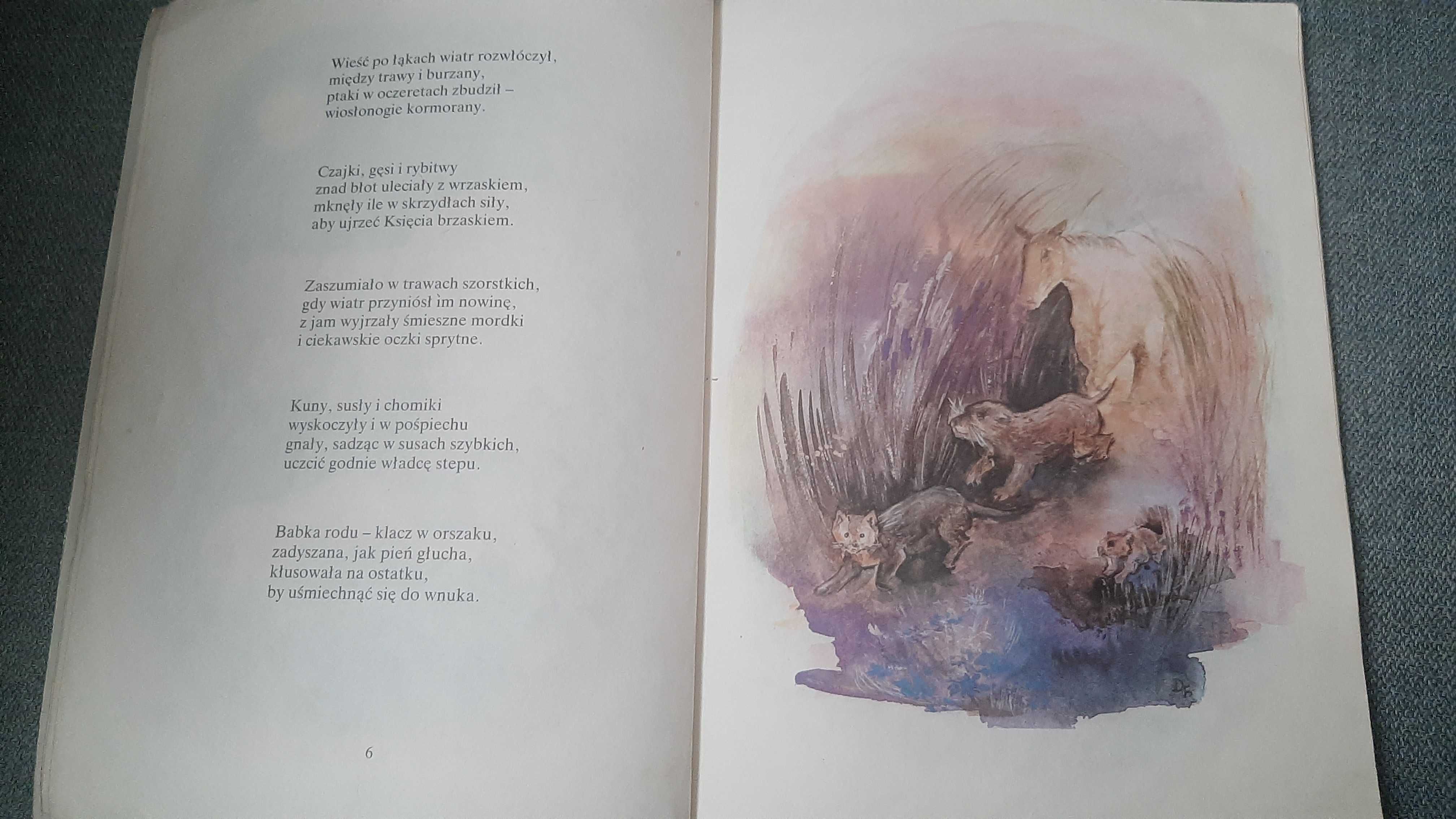 BAŚŃ O STEPOWYM KSIĘCIU Konikach koń Konstancja Rostworowska Morawska