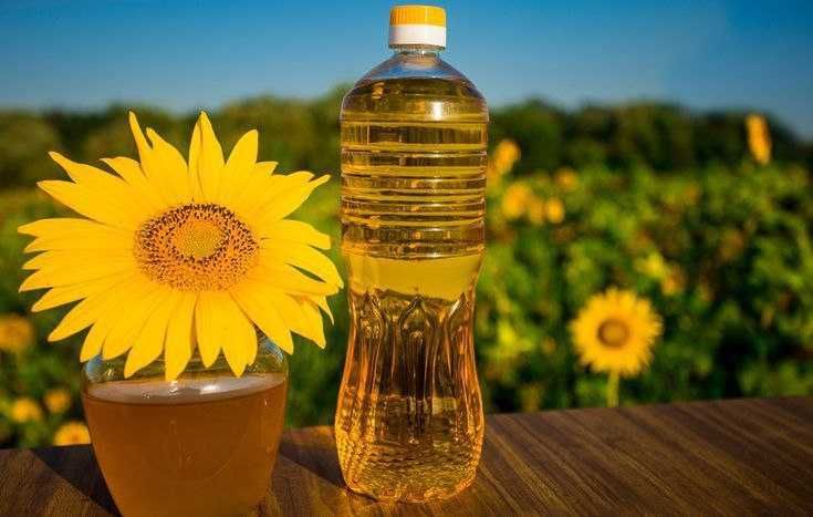 Купуємо відходи олійного виробництва – стабільно і дорого