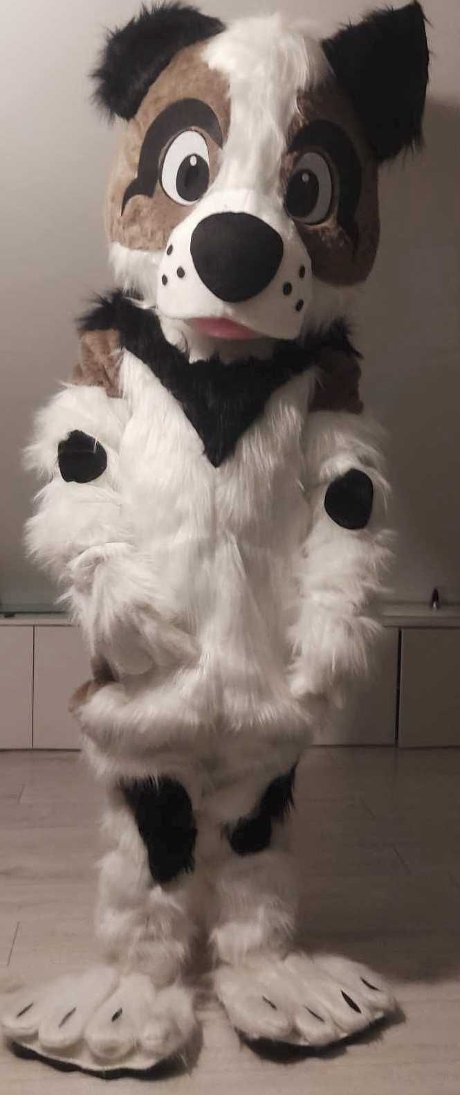 Żywe maskotki wynajem wysyłkowy strojów Misio Piesek Panda Kot Smok