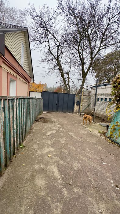 Продам 1/3 частину домоволодіння з окремим подвір’ям, Новомиколаївка