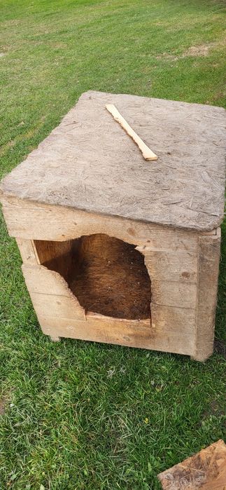 Oddam za darmo budy dla psa