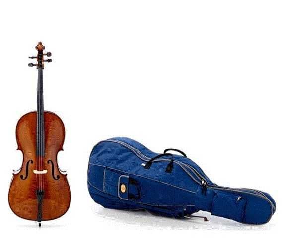 Violoncelo Stentor 1/4 para aprendizagem, inclui estojo e arco