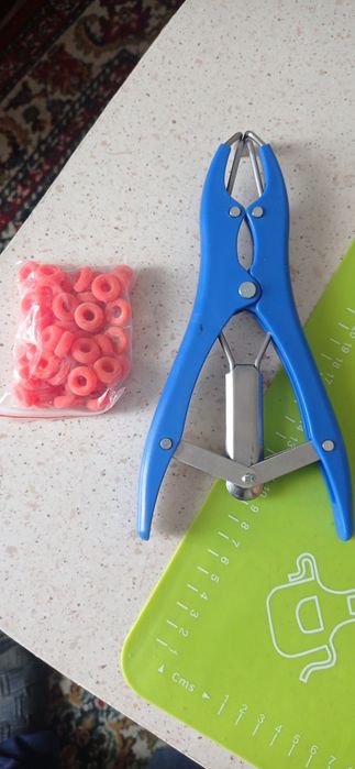 Еластатор для кіз