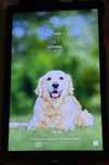 Планшет Samsung Galaxy Tab 10.1 2/64GB WiFi  [SM-T-510]