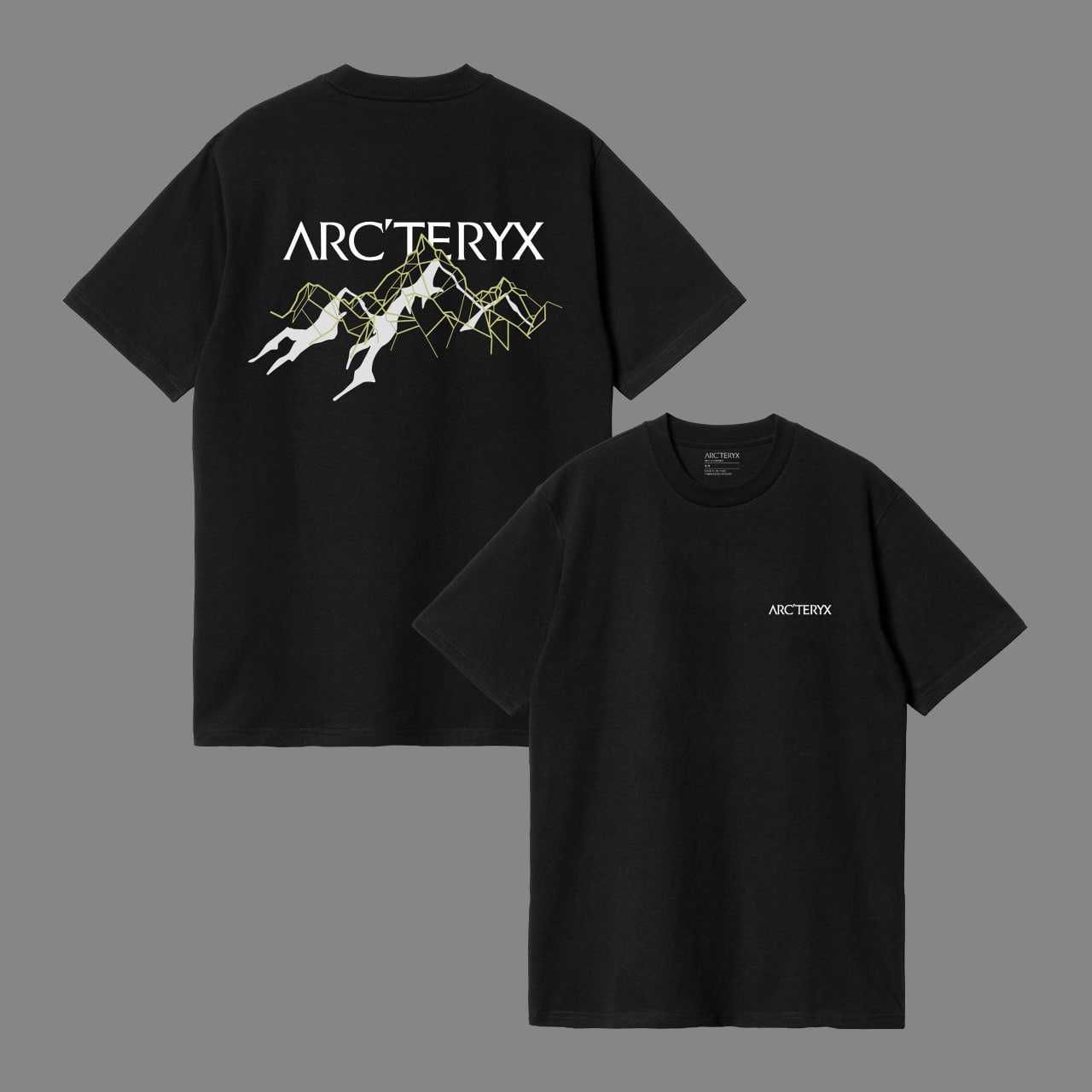 Футболка Arcteryx Original | Футболка Артерикс с бирками(Арктерикс)