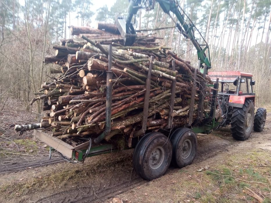 SPRZEDAM BARDZO TANIO drewno  opałowe i kominkowe
