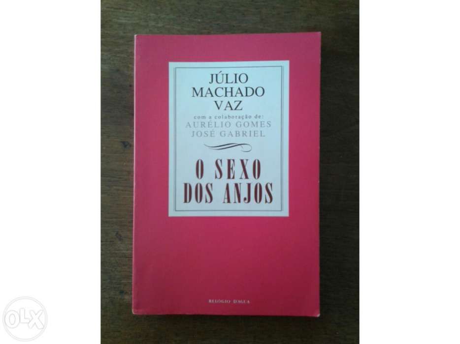 O Sexo dos Anjos. Júlio Machado Vaz. Portes Grátis.