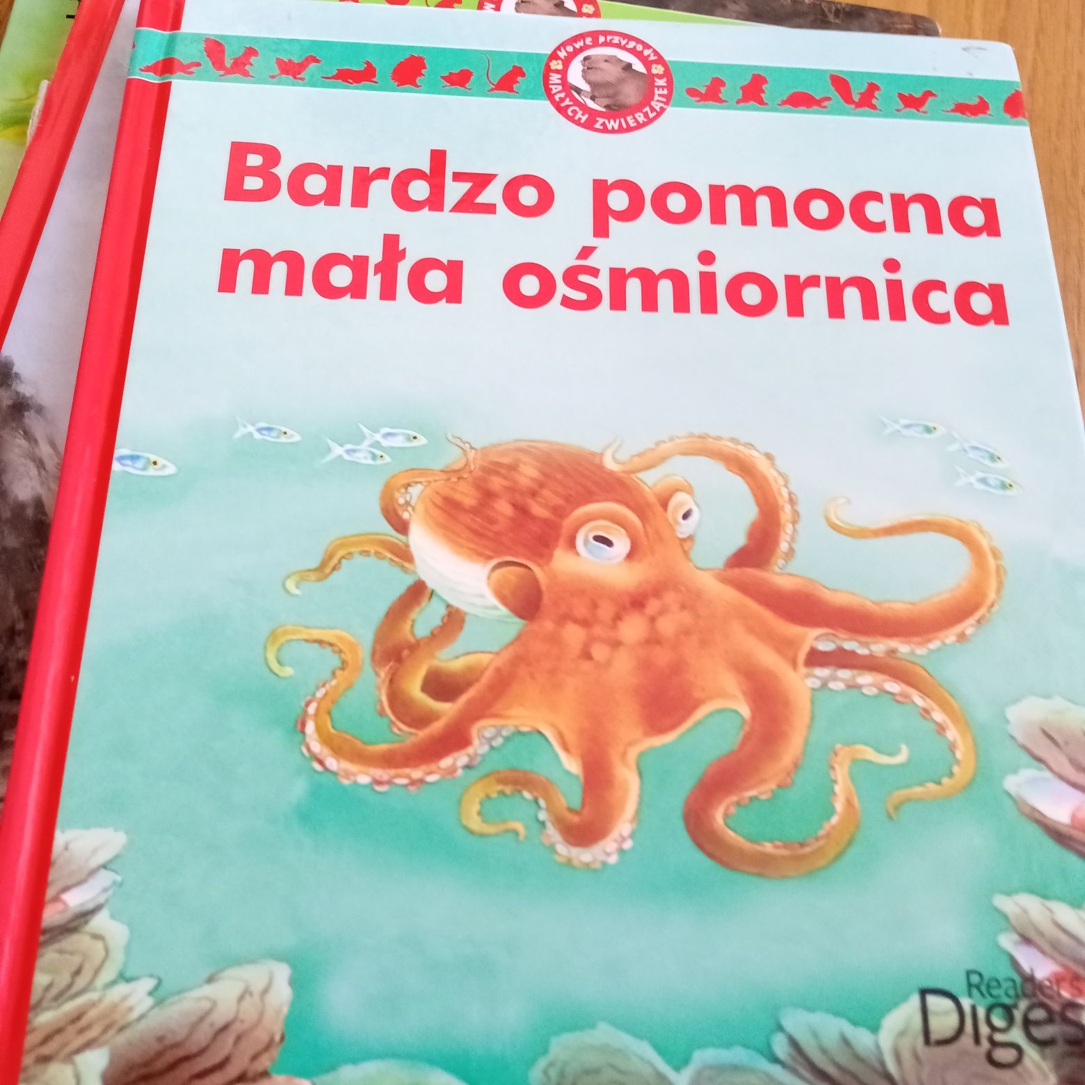 Książeczki dla dzieci opowieści o przygodach zwierząt.