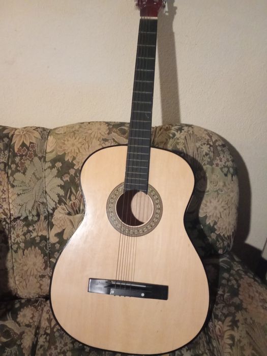 Viola seis cordas