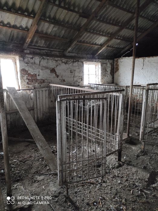 Продам ферму, птичник, телятник в Солонянском районе Днепр