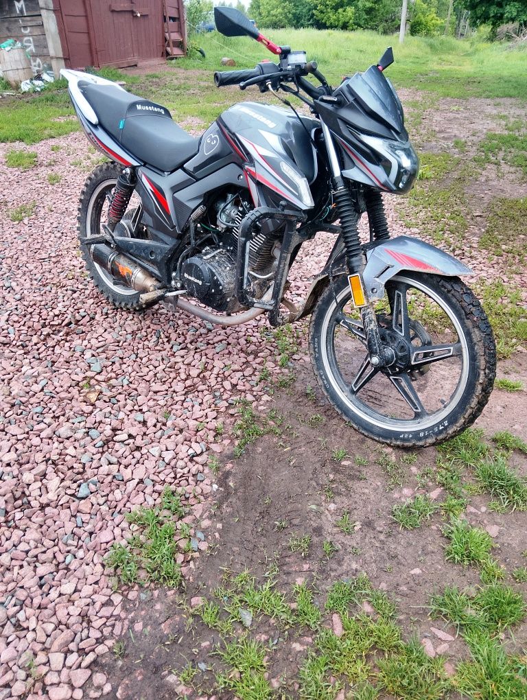 Продам мустанг фортуна 200