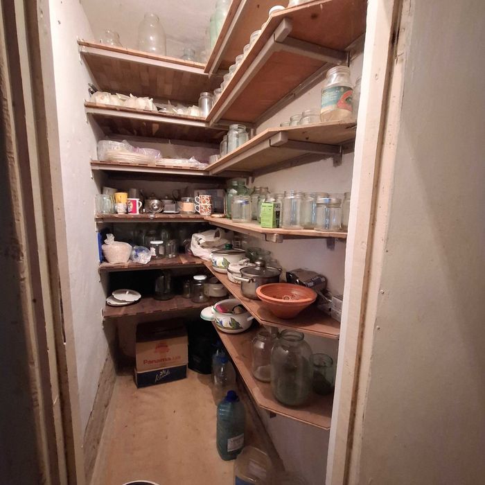 Будинок з великою територією