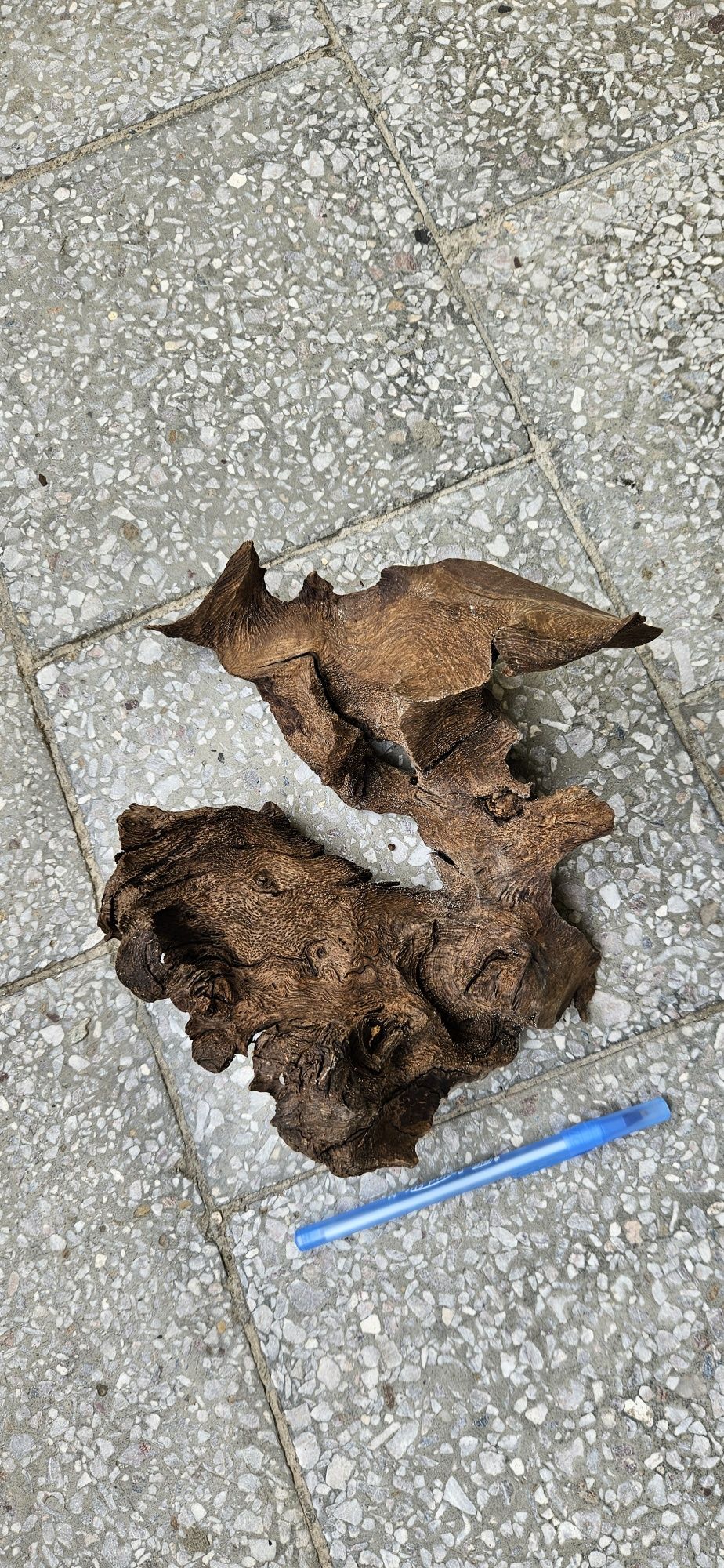 Korzeń do akwarium