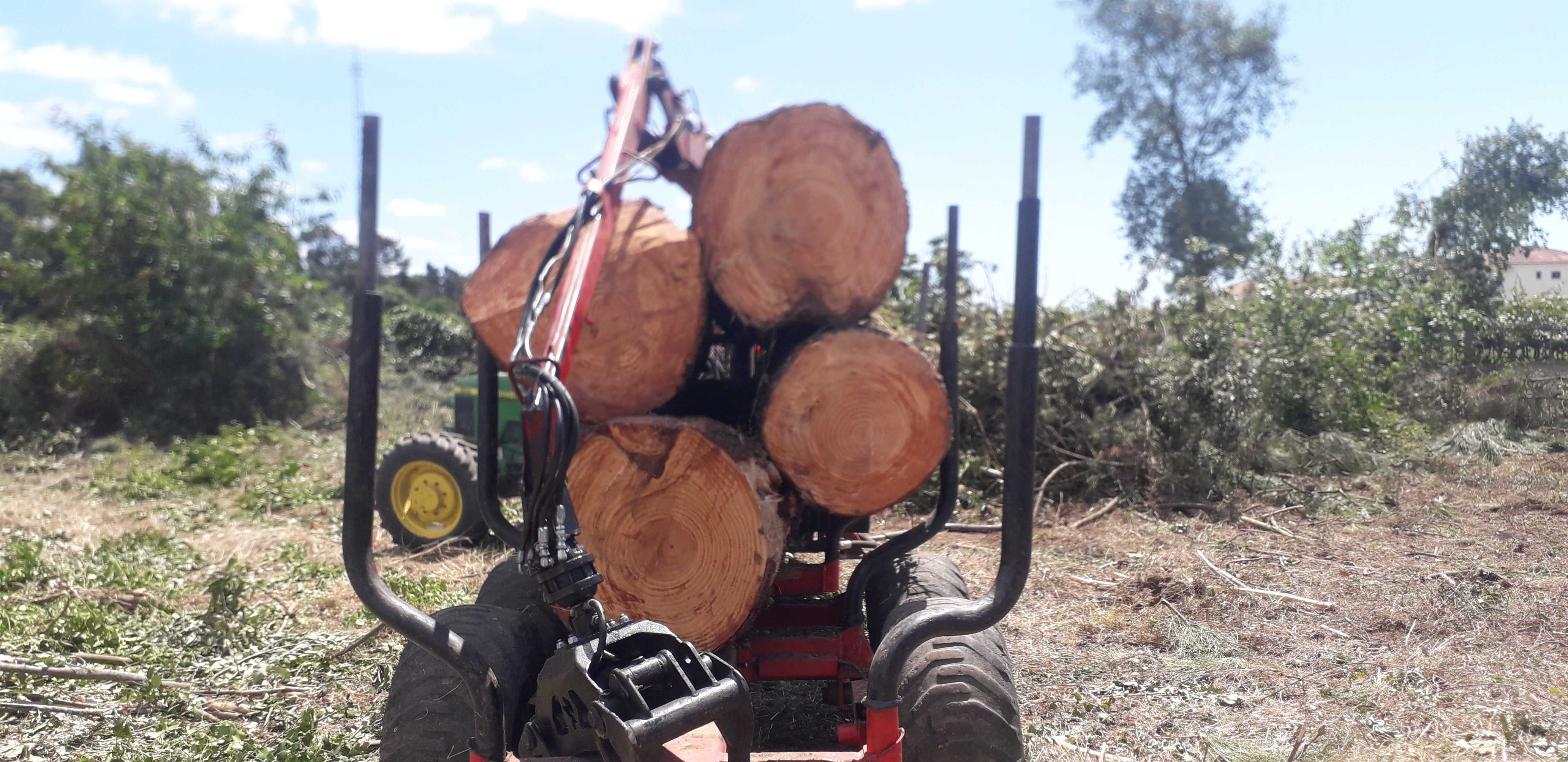 Limpeza de terrenos e abate de árvores