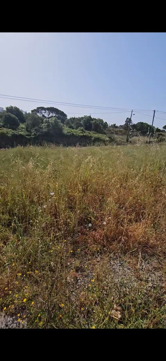 Limpeza de terrenos