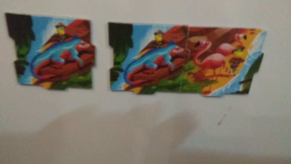 Magnesy Danonki Amazonia