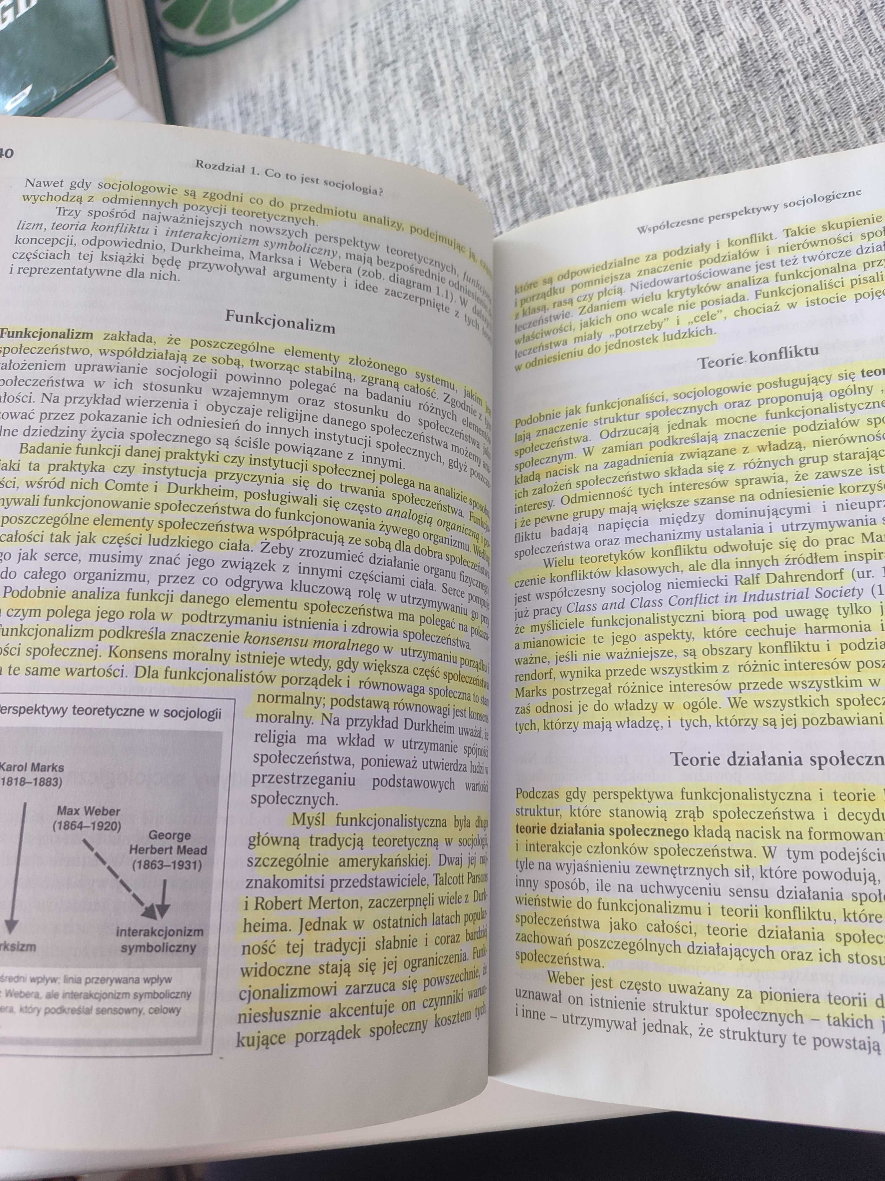 Anthony Giddens Socjologia wydanie 2 PWN 2006