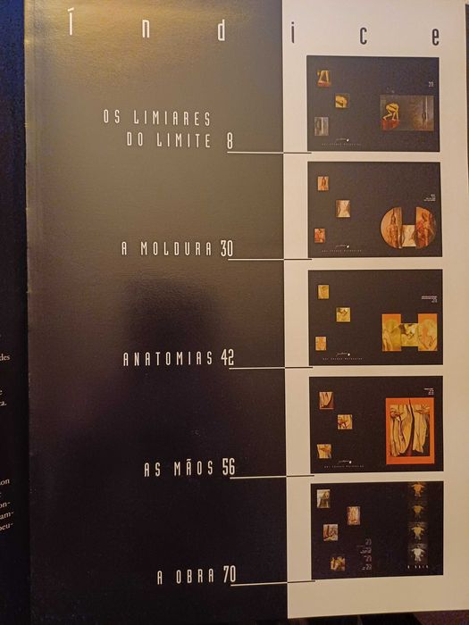 Chaké Matossian - Júlio Quaresma: Os Limiares do Limite