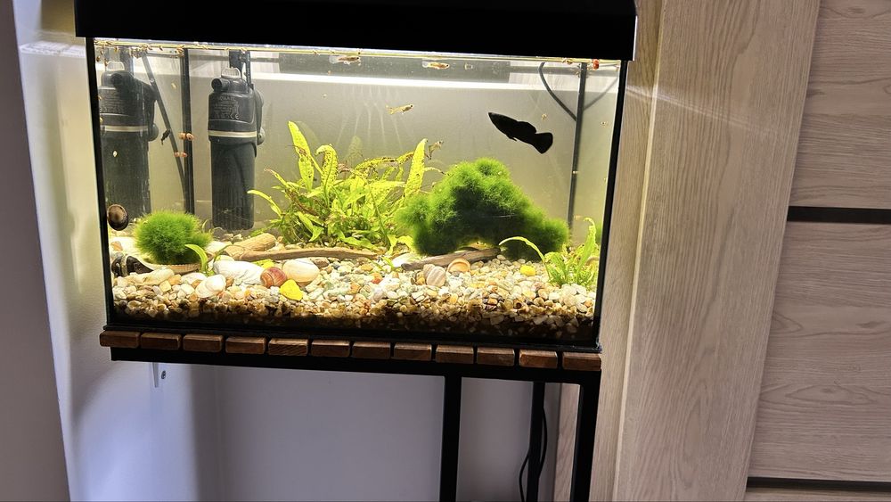 Akwarium 25 l litrów led