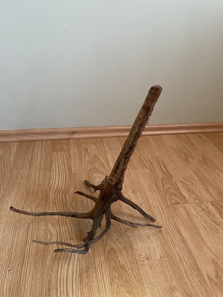 Terrarium z wyposażeniem pionowe 40/40/60
