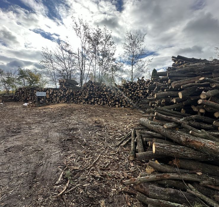 Продам дубові рубані дрова, з доставкою