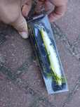 Nowy wobler seika 125mm