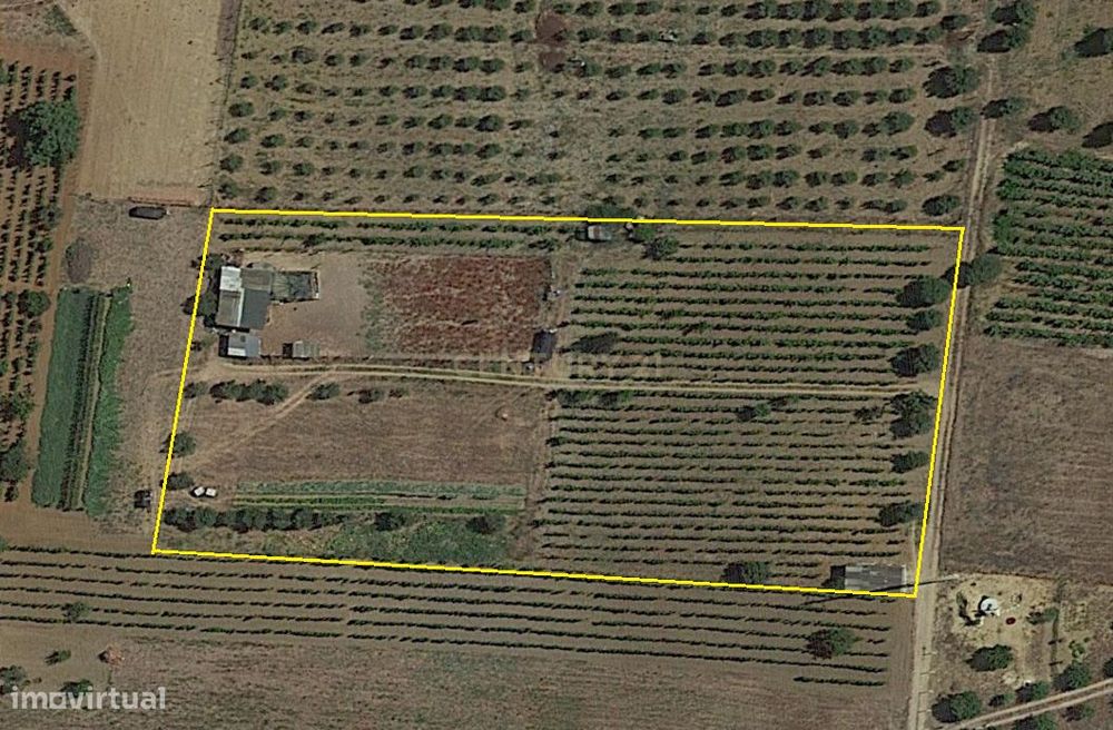 Terreno Rustico com 6240m2 em Pontével - Cartaxo